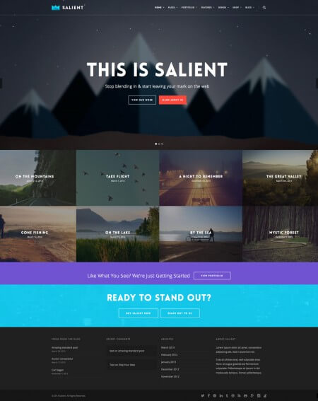 Best Selling WordPress Theme 